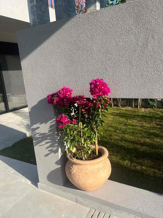 Grand Kourouta Villa Exterior photo